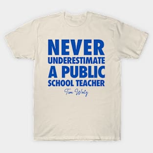 Public-School-Teacher T-Shirt